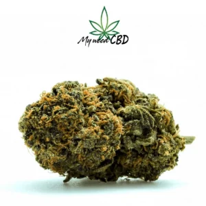 fleurs de cbd ORANGE GELATO (small buds)