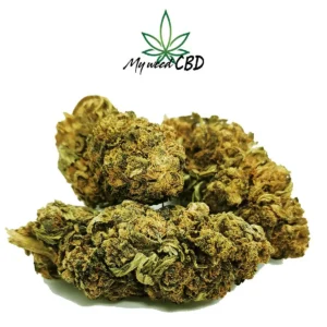 CHEESE - FLEUR DE CBD